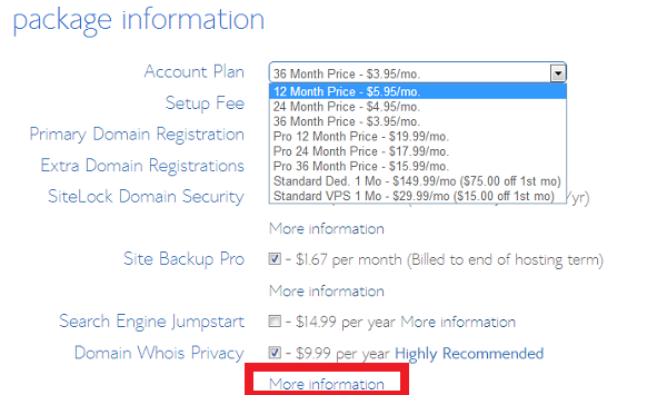 bluehost-package-information